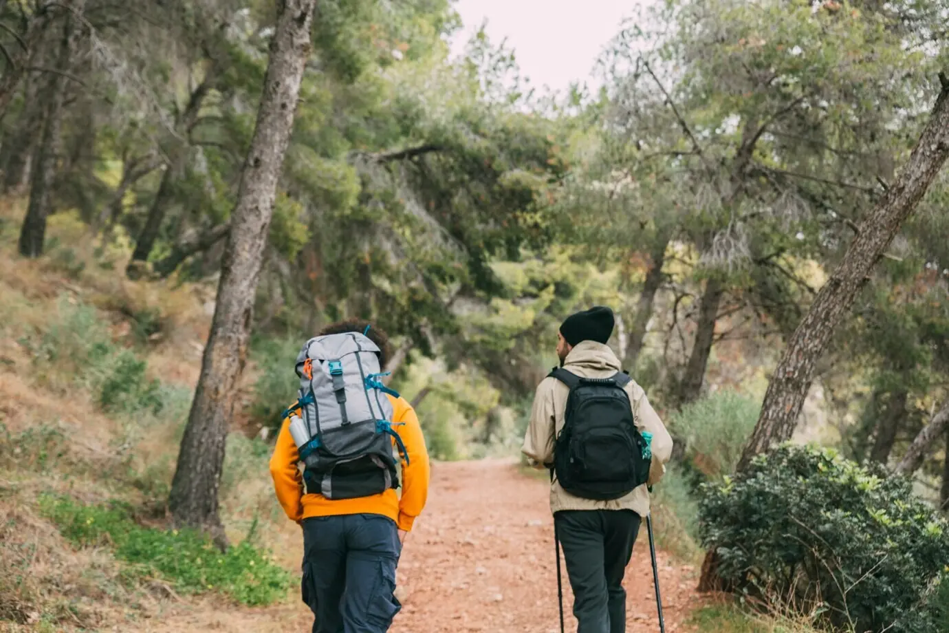 Männer beim Trekking in der Natur